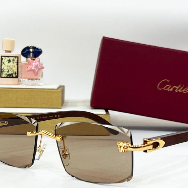 C DE RIMLESS RECTANGULAR FRAME SUNGLASSES CT0612S IN METAL