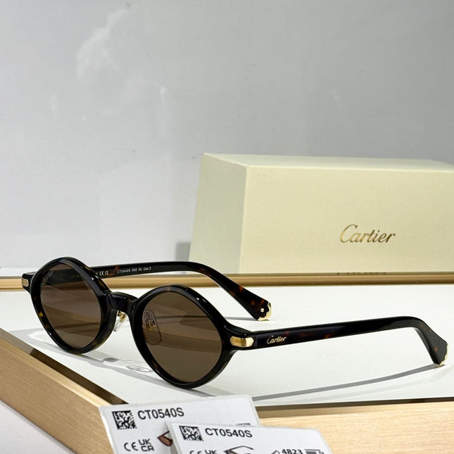 PREMIÈRE GEOMETRIC FRAME SUNGLASSES CT0540S IN ACETATE
