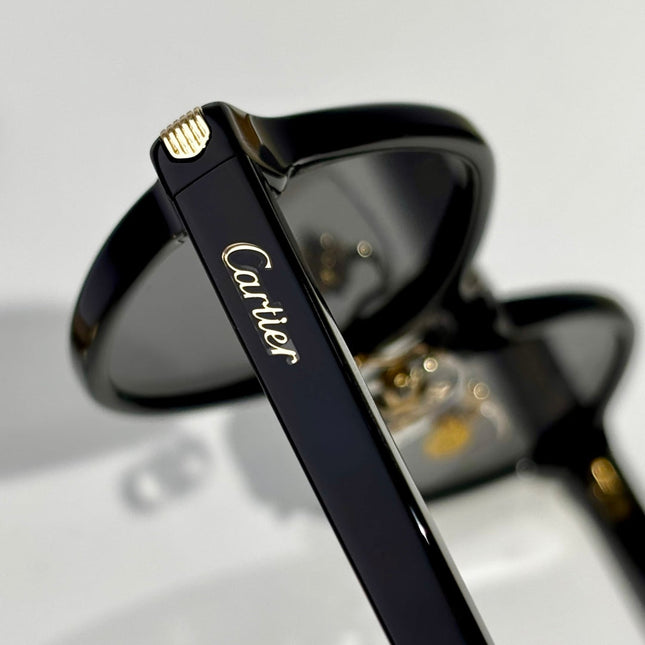 PREMIÈRE GEOMETRIC FRAME SUNGLASSES CT0540S IN ACETATE