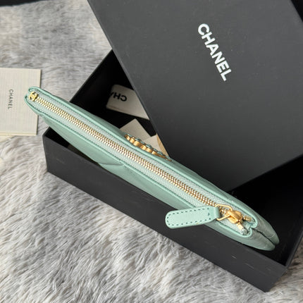 CLASSIC ZIPPER POUCH 20 IN BABY GREEN SMOOTH LAMBSKIN GOLD-TONE HARDWARE