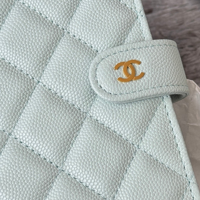 CHANEL 25S MULTI PURPOSE PASSPORT WALLET 15 IN SOFT MINT CALFSKIN GOLD HARDWARE
