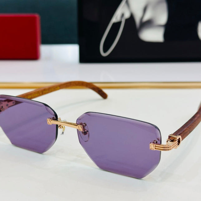 PREMIÈRE RECTANGULAR FRAME SUNGLASSES CT0620S IN METAL AND WOODEN