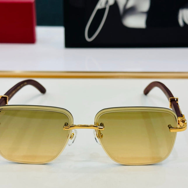 C DE RIMLESS RECTANGULAR FRAME SUNGLASSES CT0607S IN METAL AND WOODEN