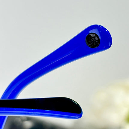 BUTTERFLY SUNGLASSES CH6057 IN ACETATE