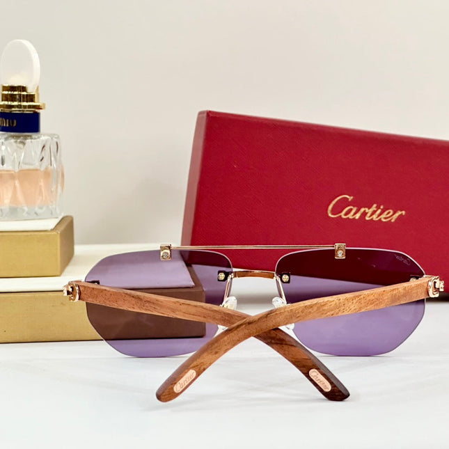 PREMIÈRE GEOMETRIC FRAME SUNGLASSES CT0621S IN METAL AND WOODEN