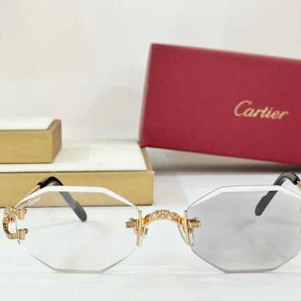 PHOTOCHROMIC LENSES GEOMETRIC FRAME SUNGLASSES CT0581S IN METAL