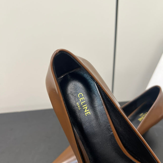 TRIOMPHE POINTED-TOE HIGH PUMPS IN BROWN SHINY CALFSKIN