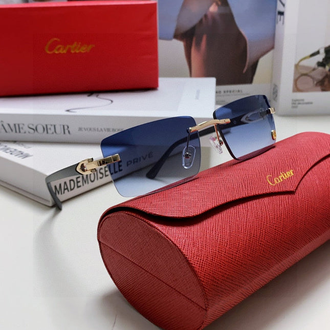 C DE RECTANGULAR FRAME SUNGLASSES 555890 IN METAL AND ACETATE