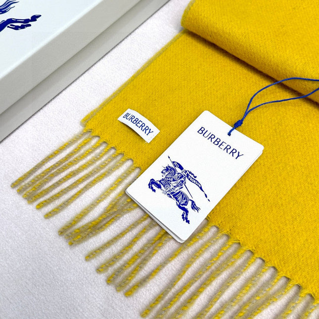 BBR SCARF 168 CM IN CASHMERE 727344